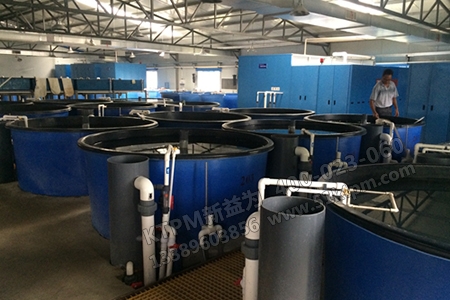 工業(yè)工程技術 工業(yè)工程技術